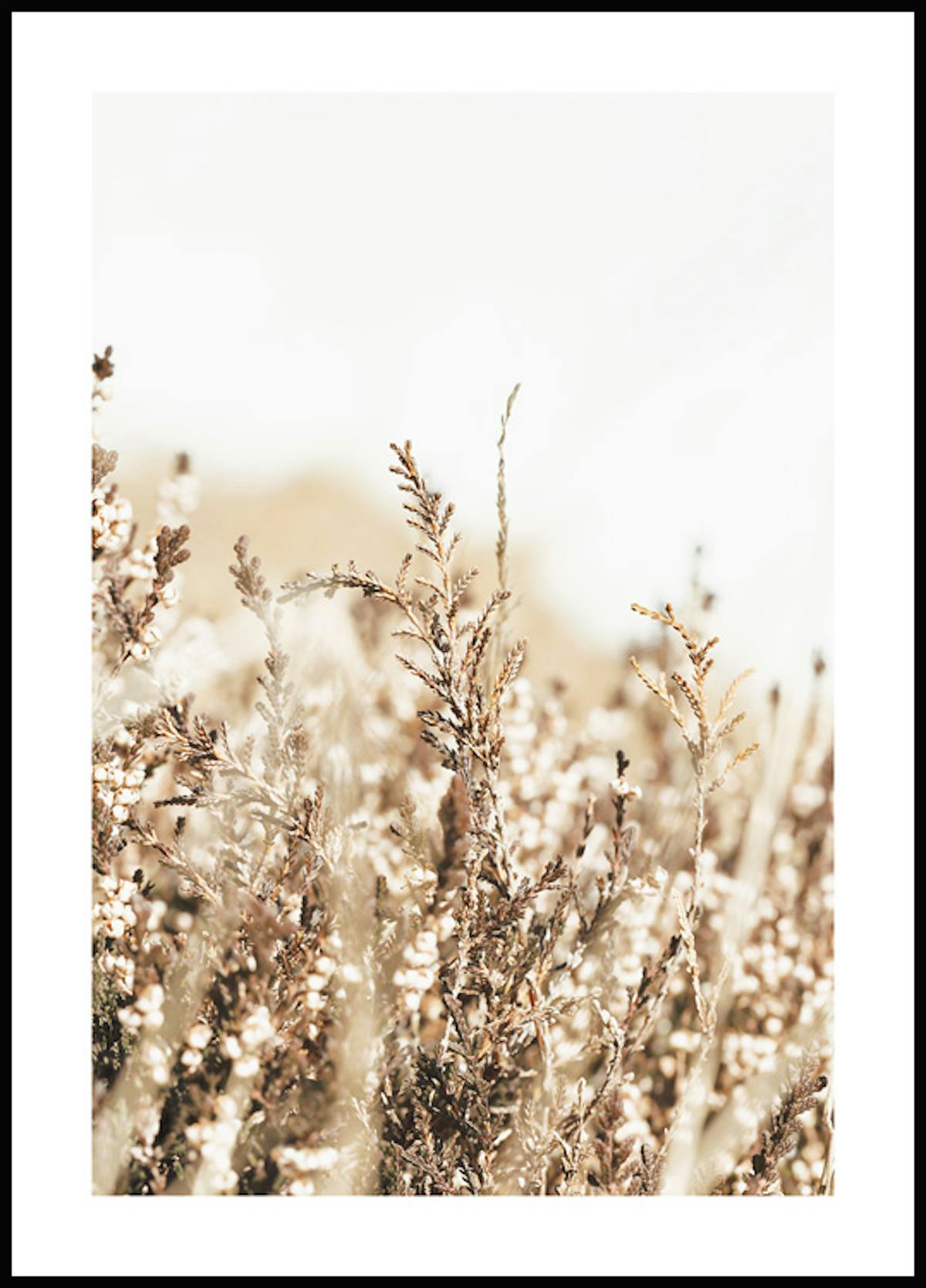 Køb plakater med rabat online på posterstore.dk