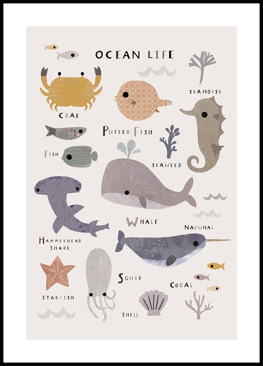 affiche enfant animaux marins, poster enfant animaux marins