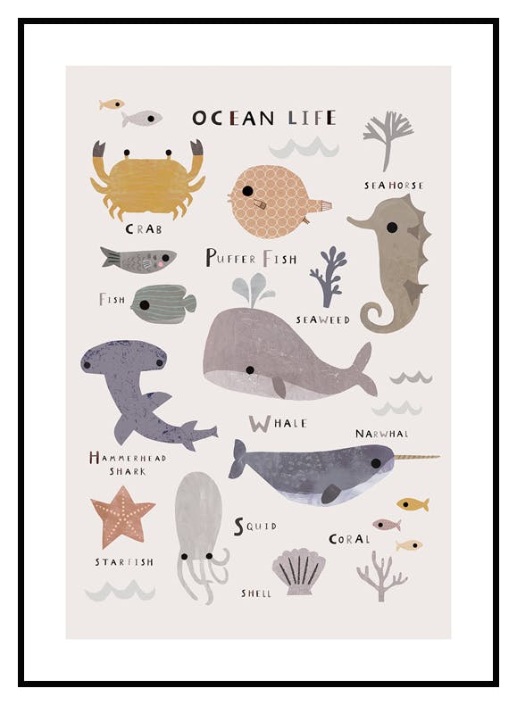 Havets Dyr Plakat (30x40 cm) - Poster Store
