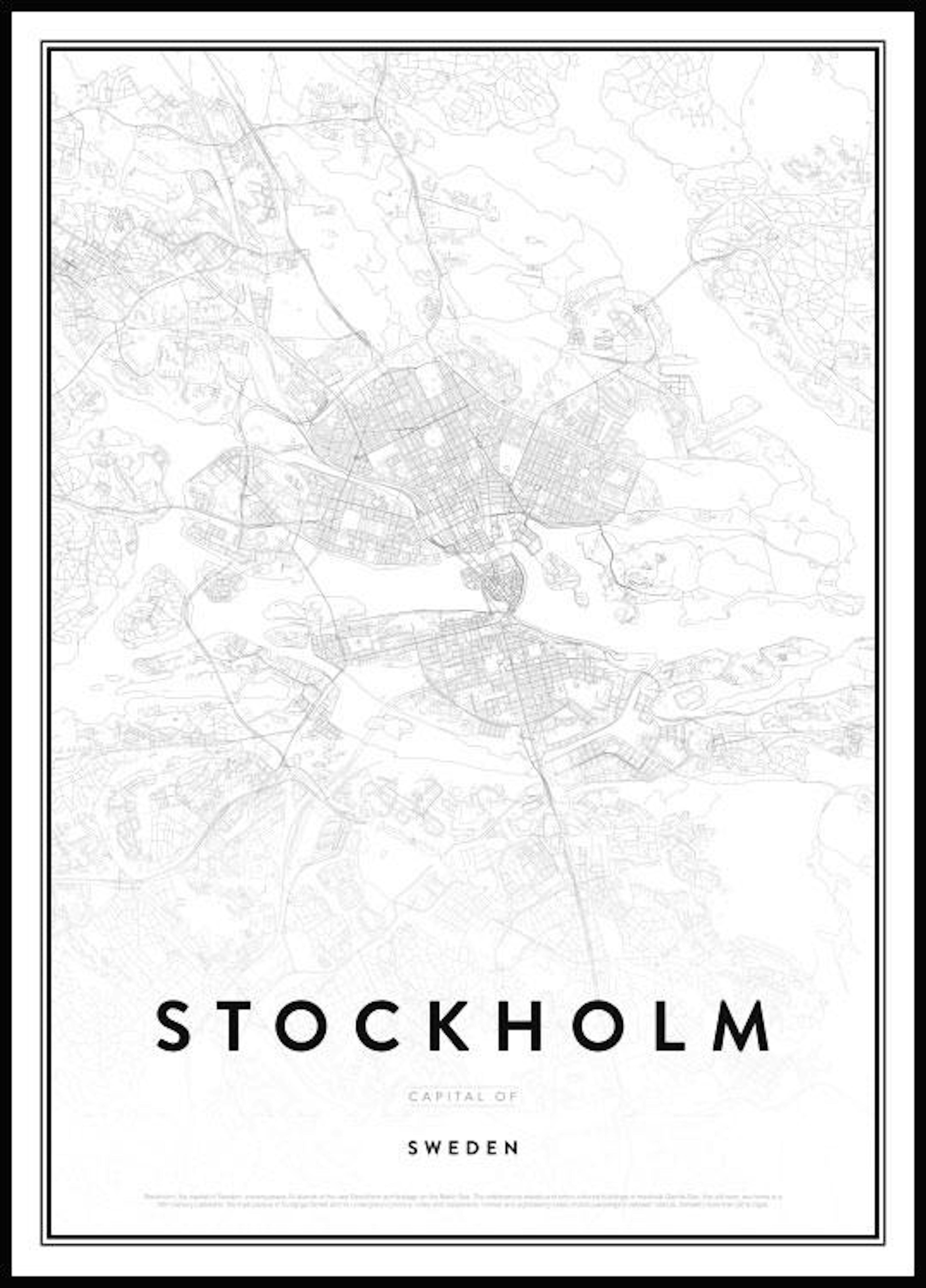 Map of Stockholm Poster 0