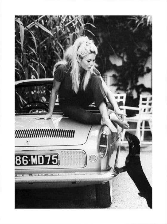 Plakat Brigitte Bardot 0