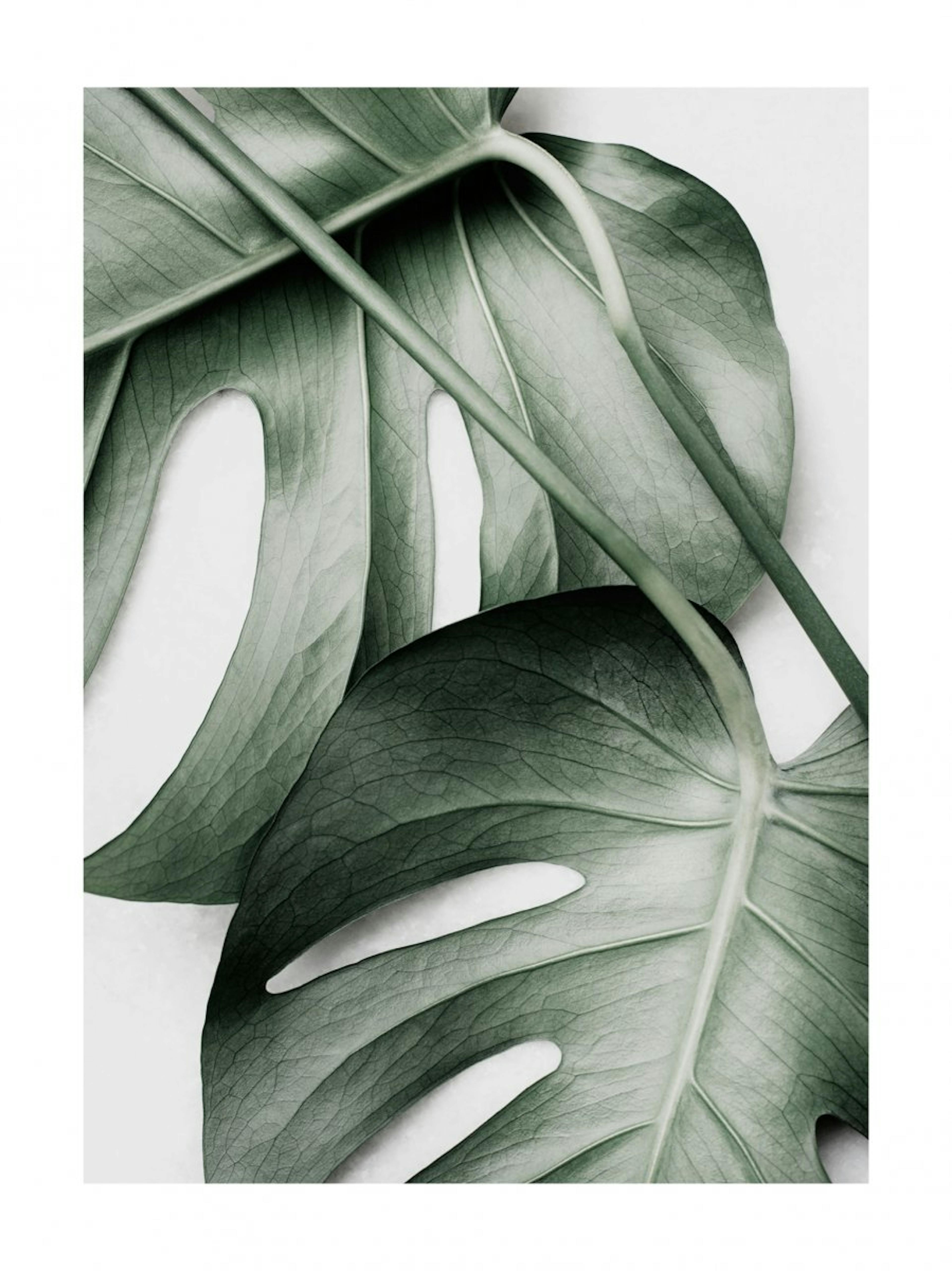 Green Monstera Poster 0