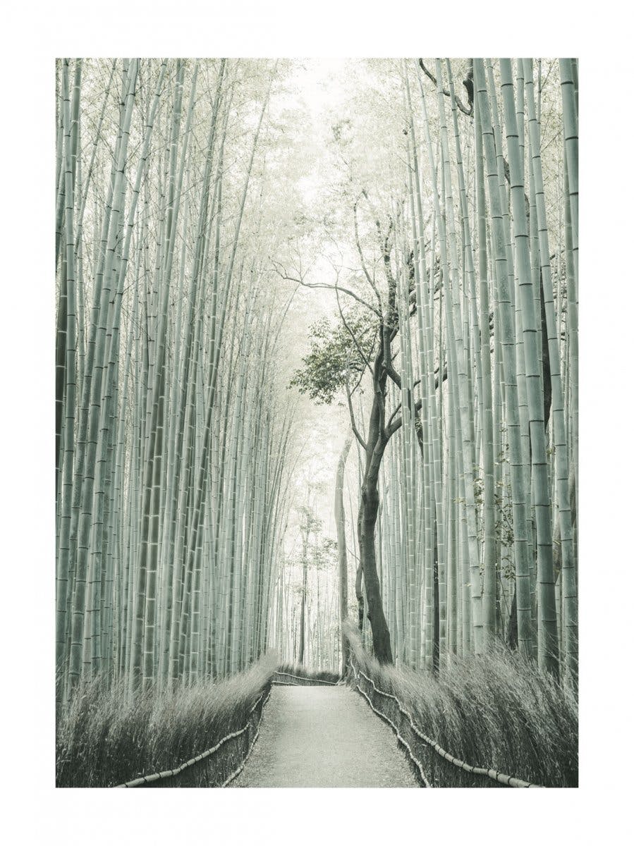 Foresta di bambù Poster 0