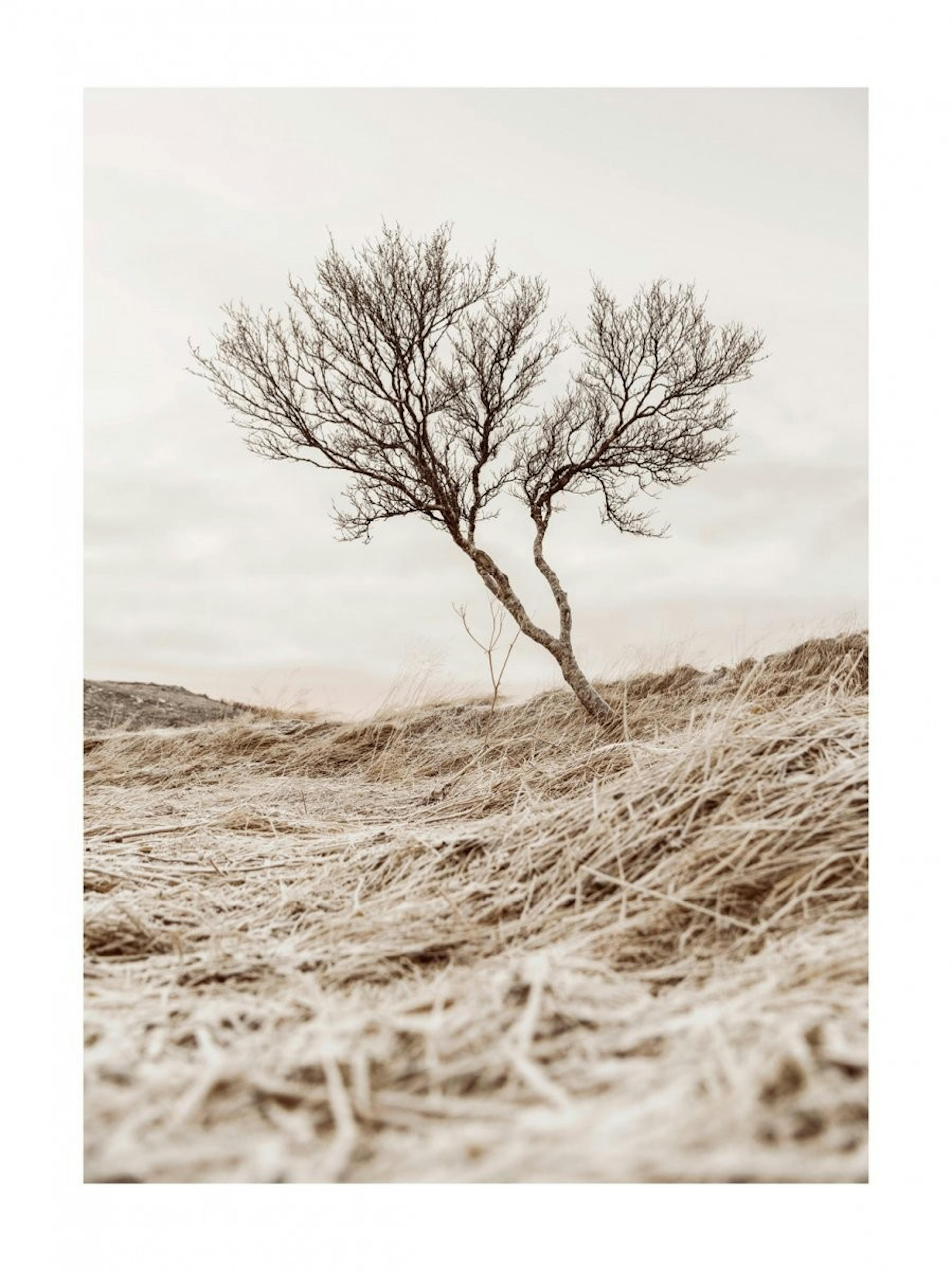 木と枯れ草 ポスター 0