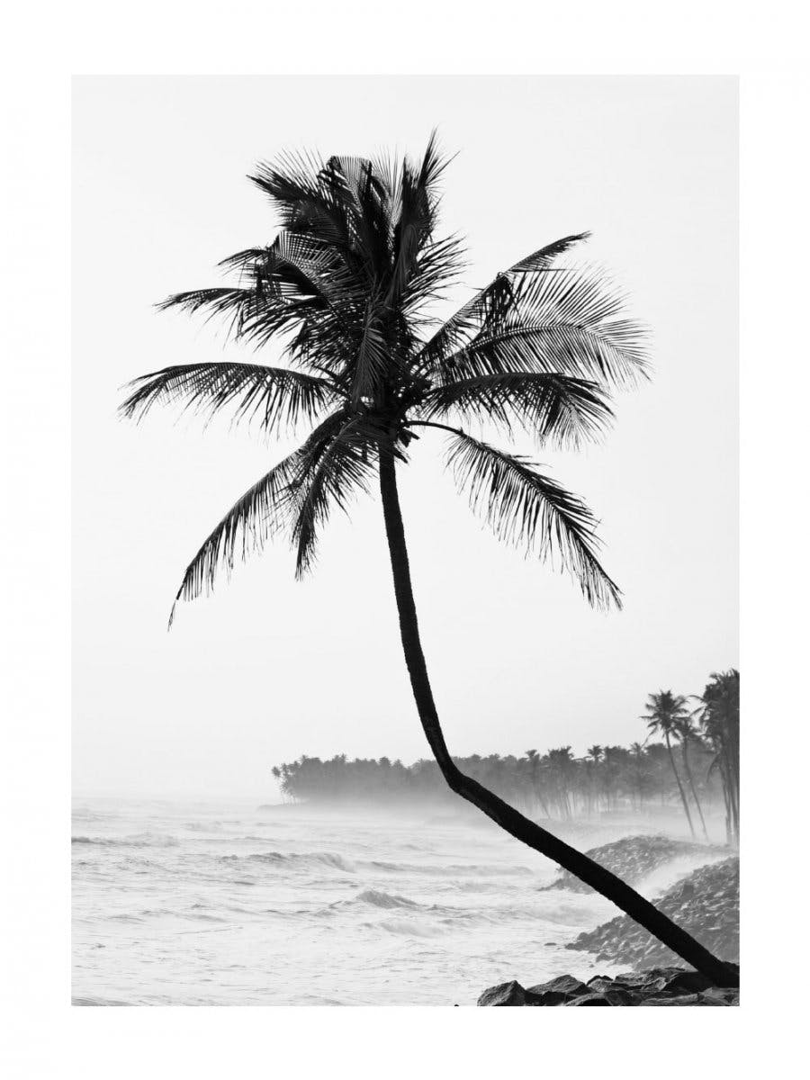 Palmier sur la plage Poster 0