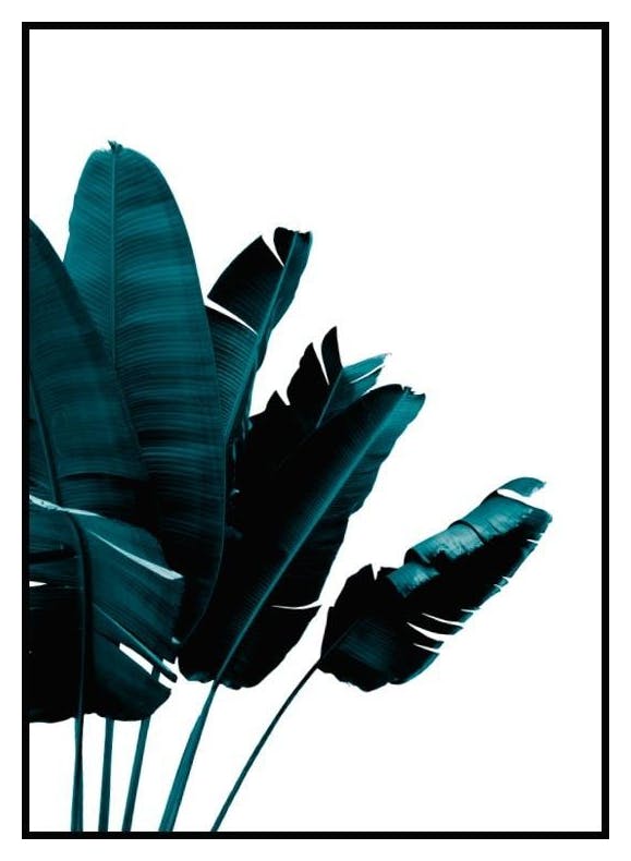 Green banana leaves Poster (21x30 cm) - Poster Store