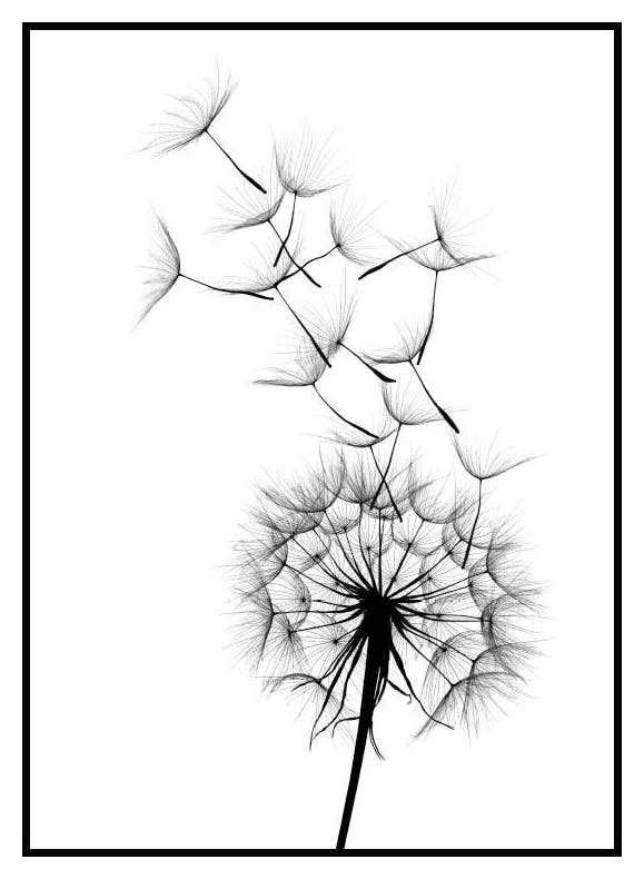 Plakat Dandelion wish (21x30 cm) - Poster Store