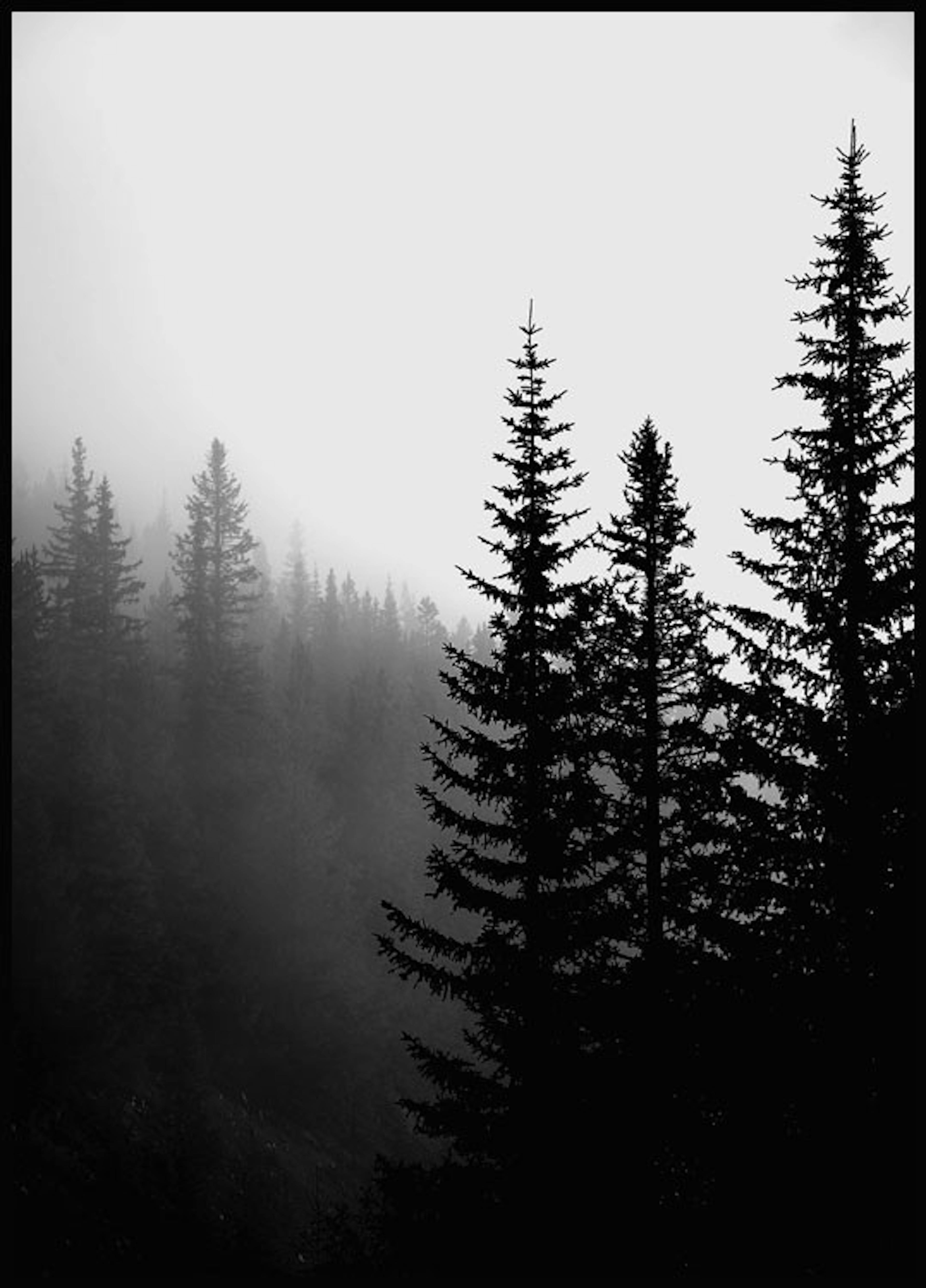 لوحة لصورة الغابة المظلمة thumbnail