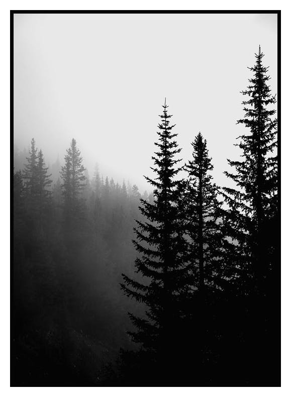 Dark Forest Poster (30x40 cm) - Poster Store