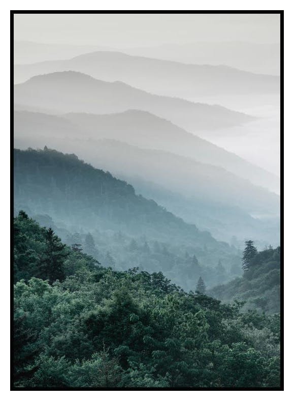 Forest Hills. Poster (30x40 cm) - Poster Store