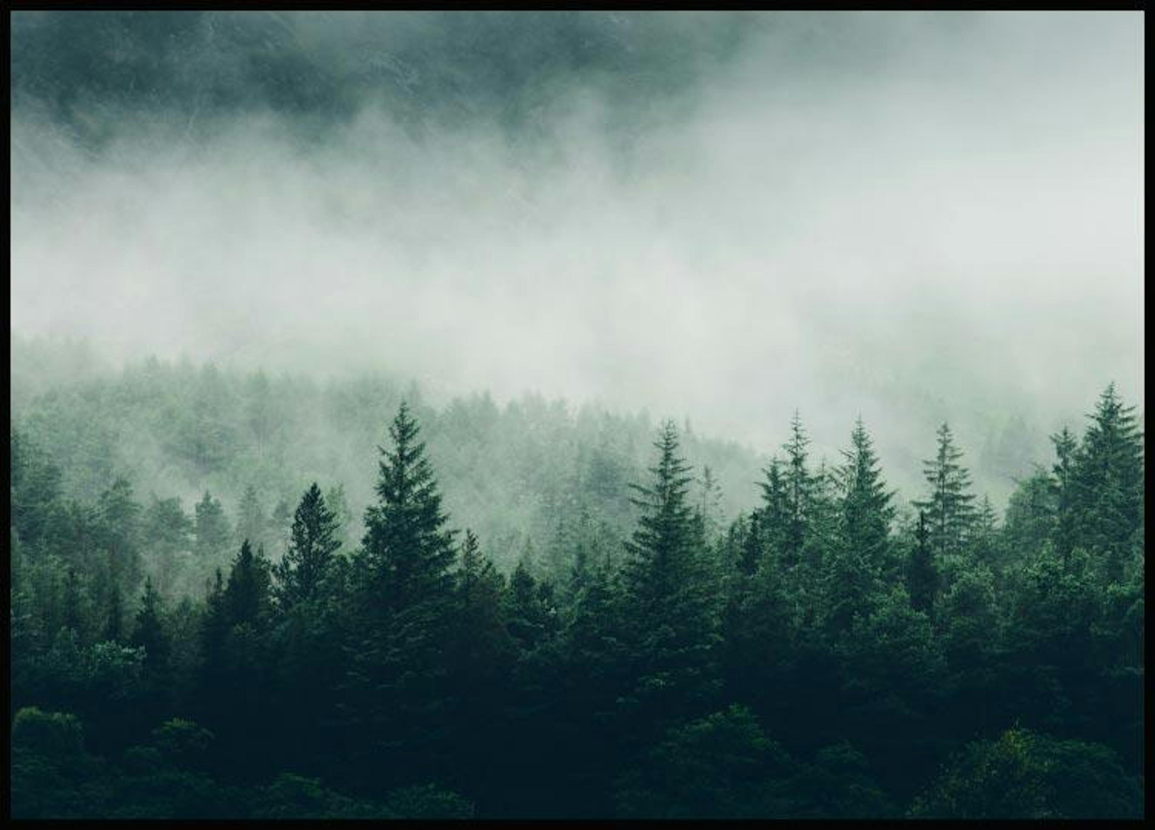 لوحة لصورة أشجار الغابات 0