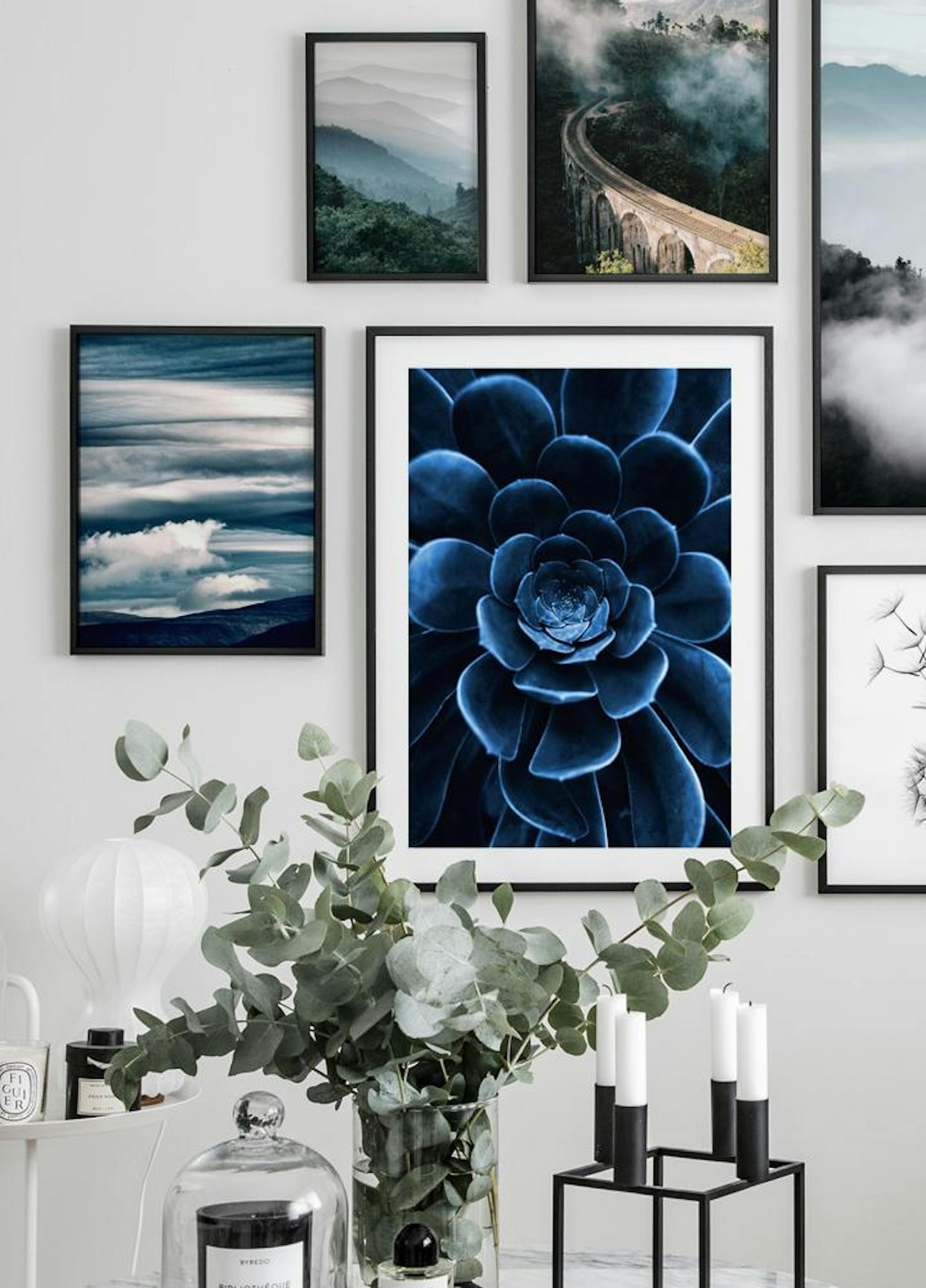 Kék kaktusz virág poszter thumbnail