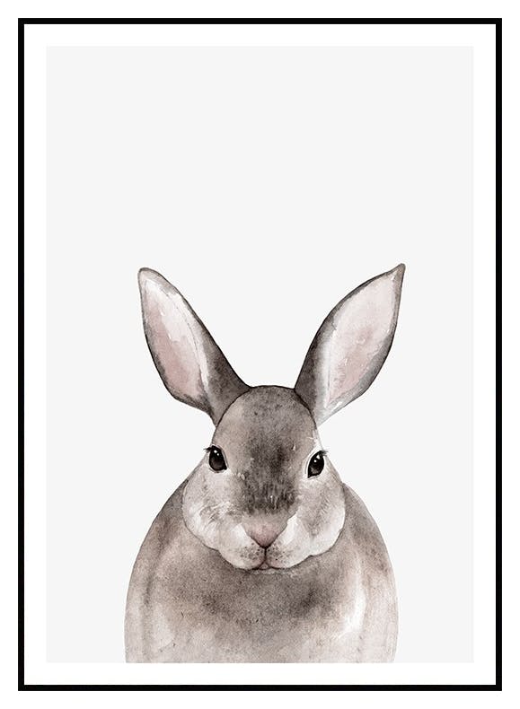 Plakat Mały Królik (50x70 cm) - Poster Store