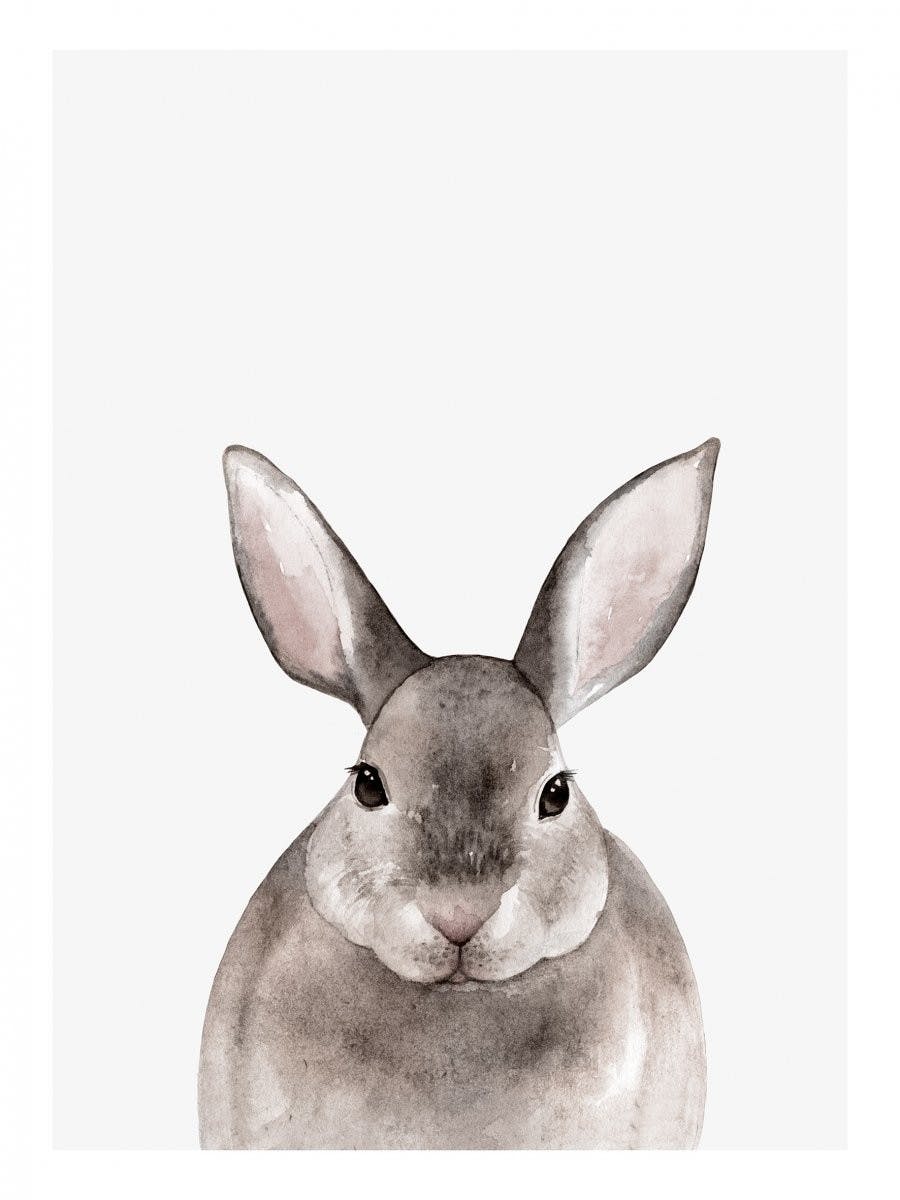 토끼 일러스트 포스터 0