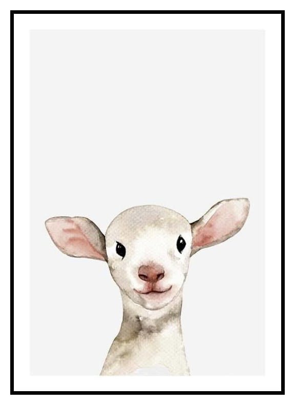 Mały Baranek Plakat (30x40 cm) - Poster Store