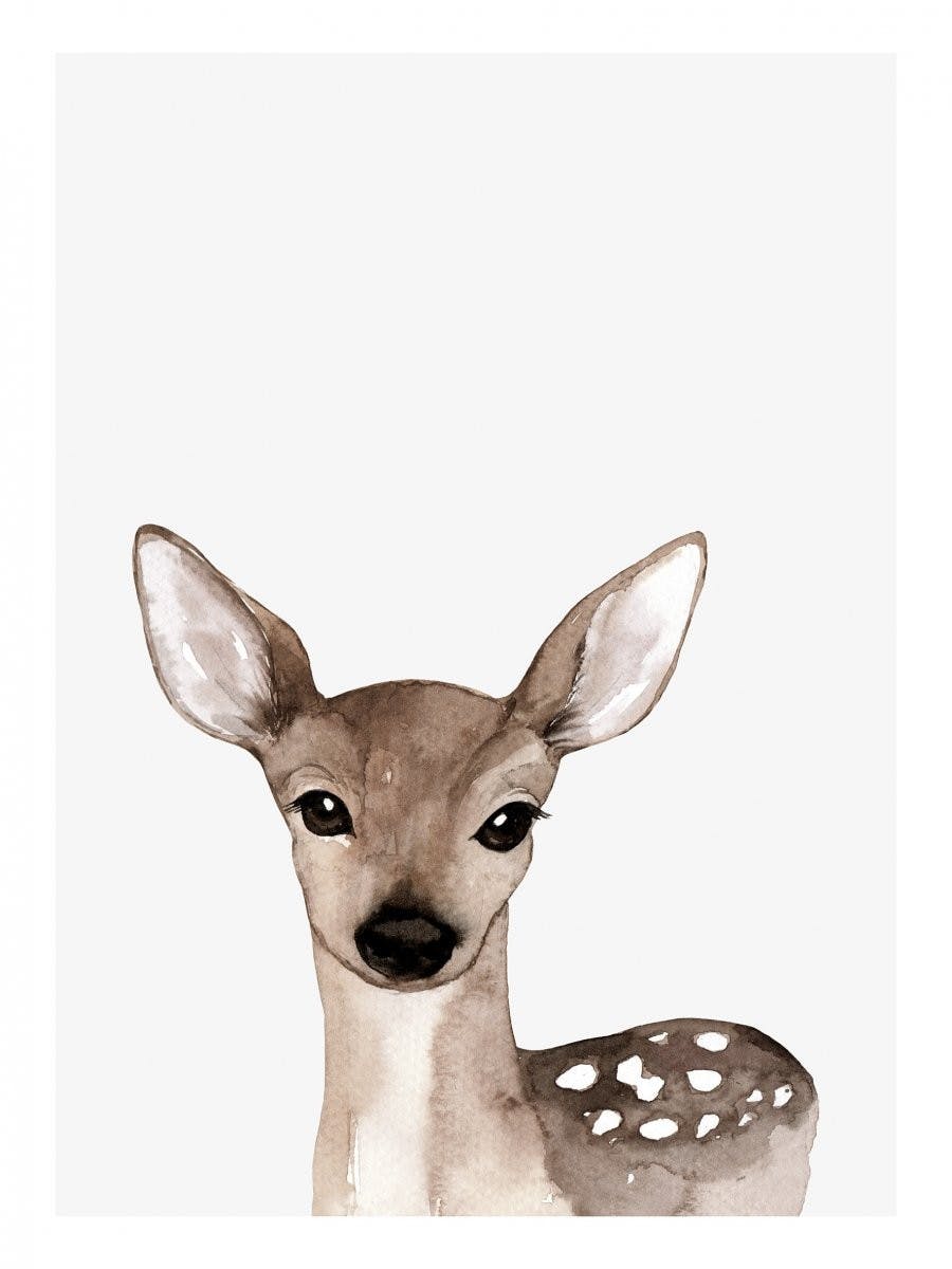 Little Deer Plakat 0