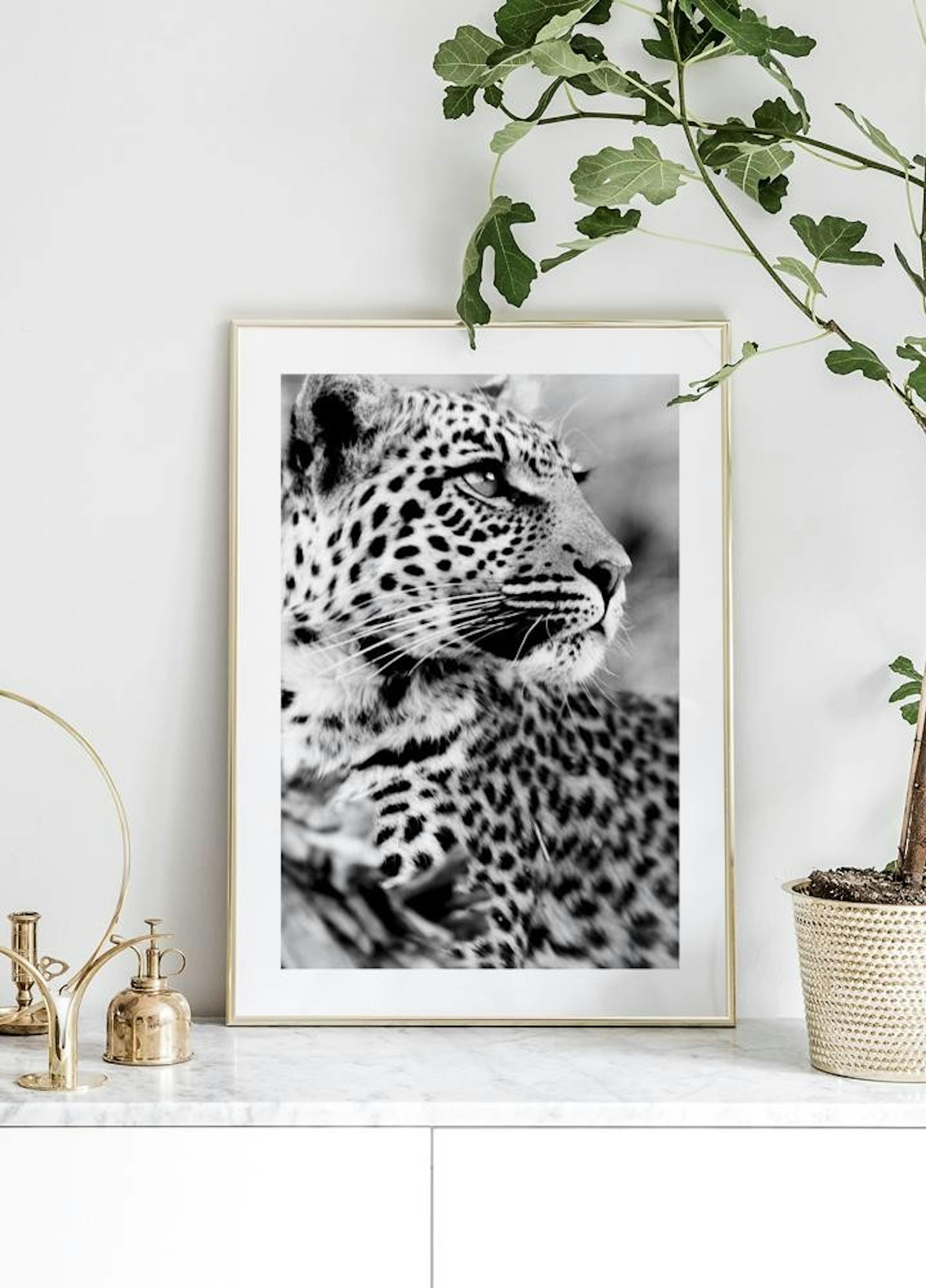 Leopardí dáma Plakát thumbnail