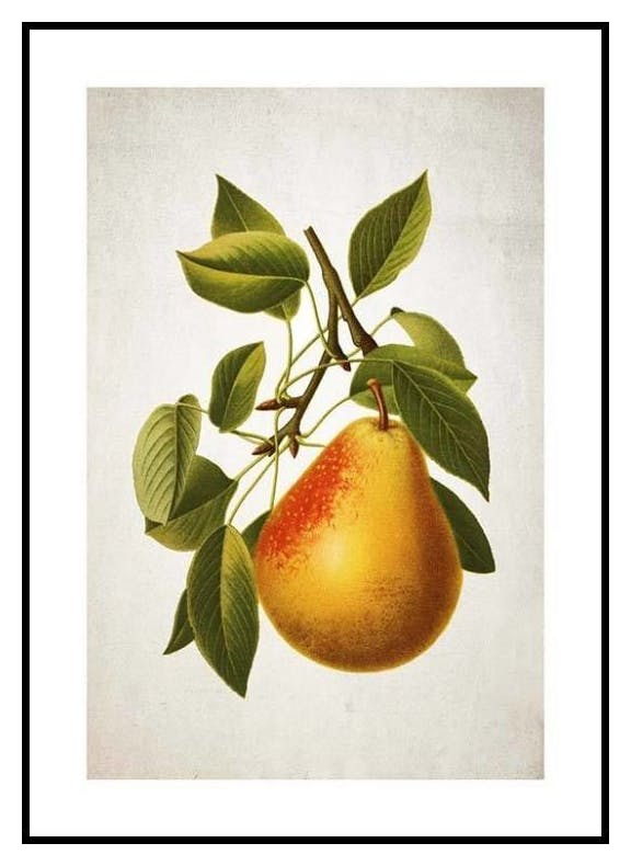 Gruszka Plakat (30x40 cm) - Poster Store