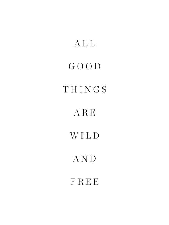 Plakat Wild and free 0