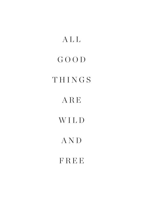 Plakat Wild and free 0