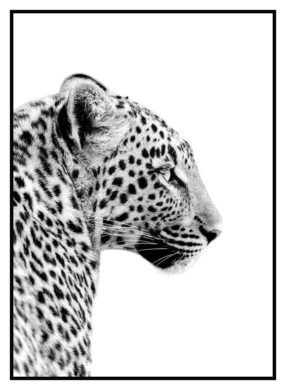 Plakat Lampart (30x40 cm) - Poster Store