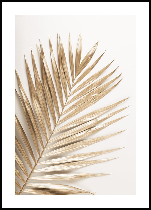 Special offers Discount codes Posterstore.jp