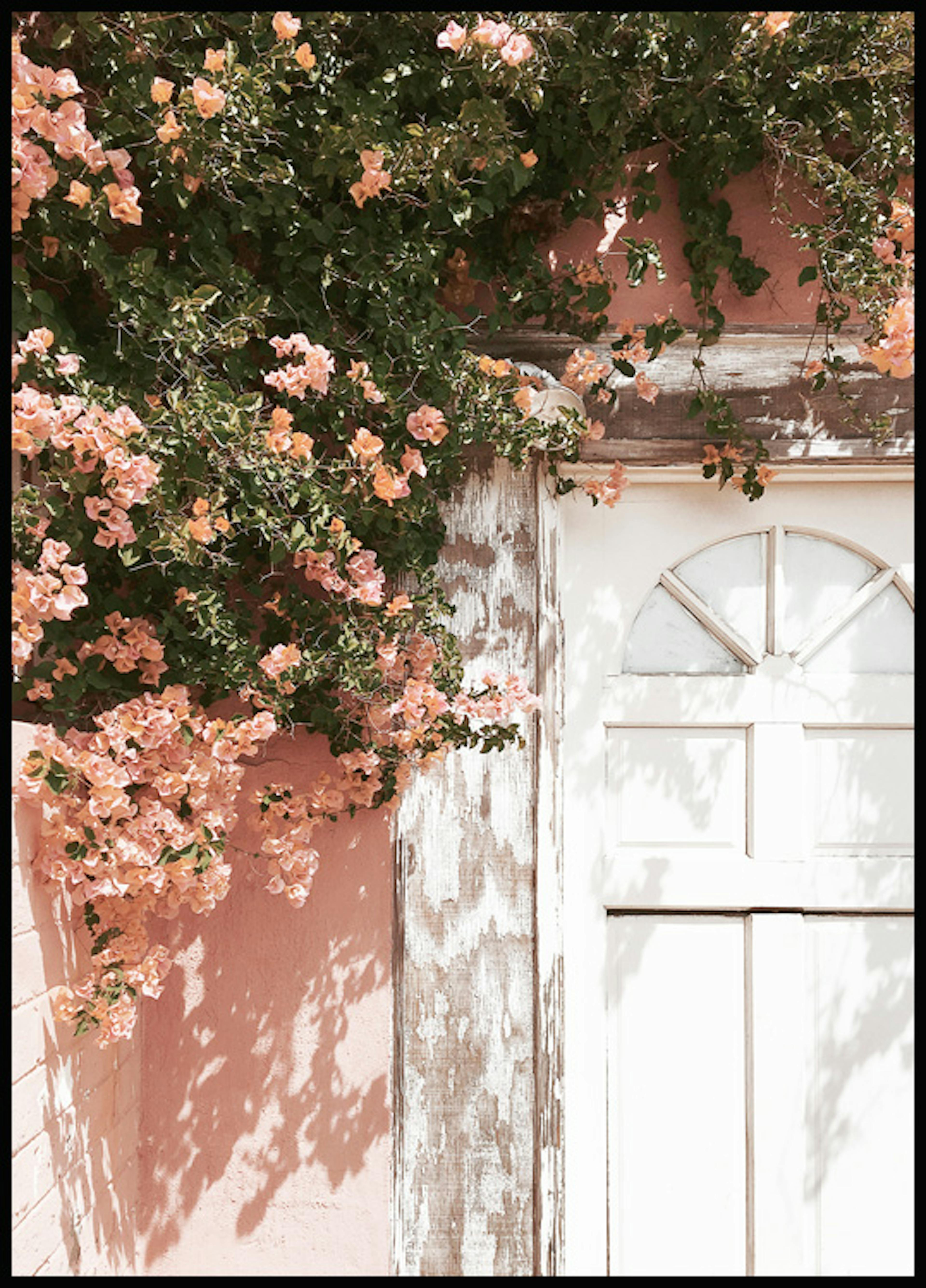 花の咲いた ドア ポスター 0