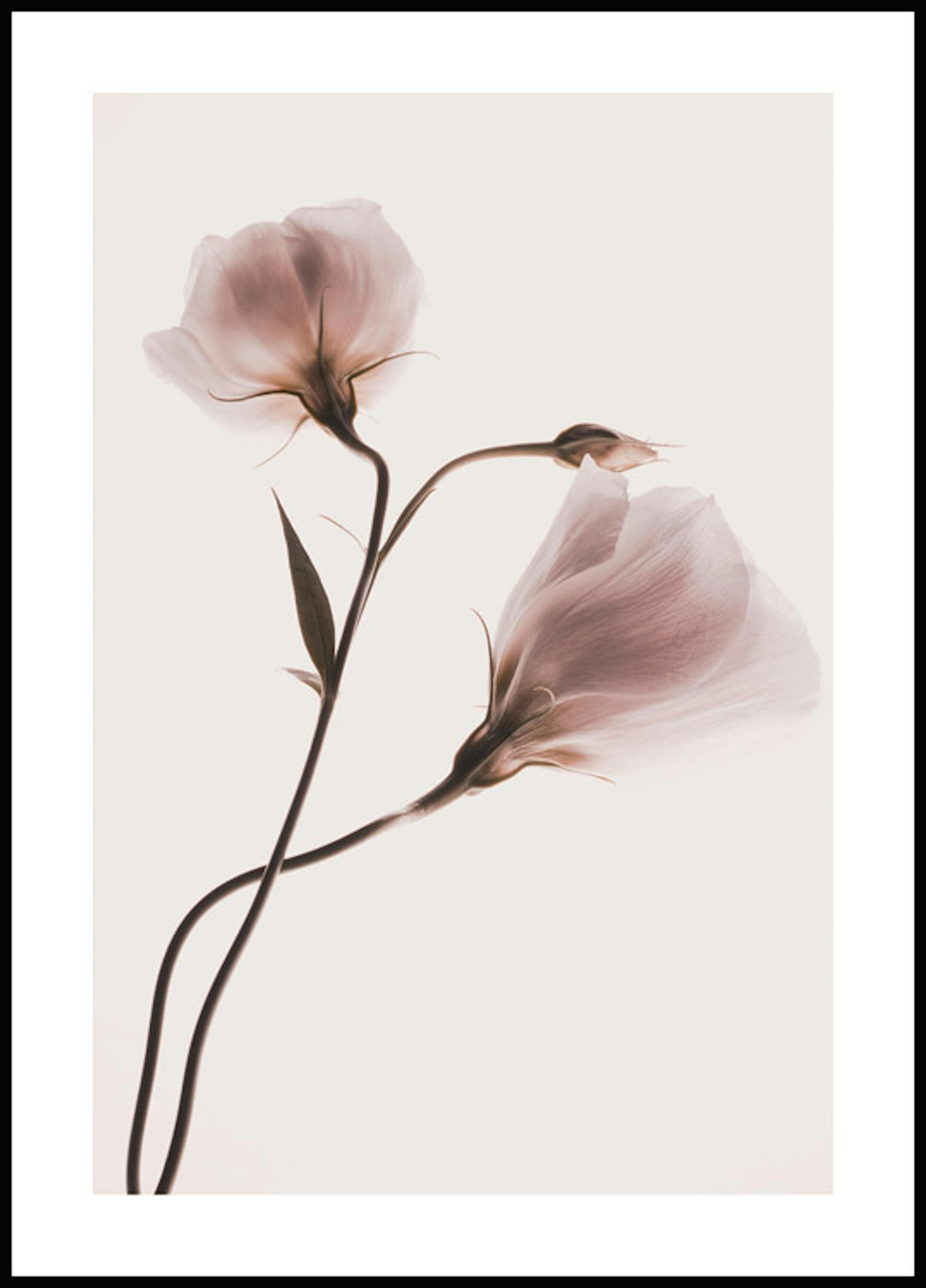 لوحة لصورة الزهور بألوان الباستيل 1 0