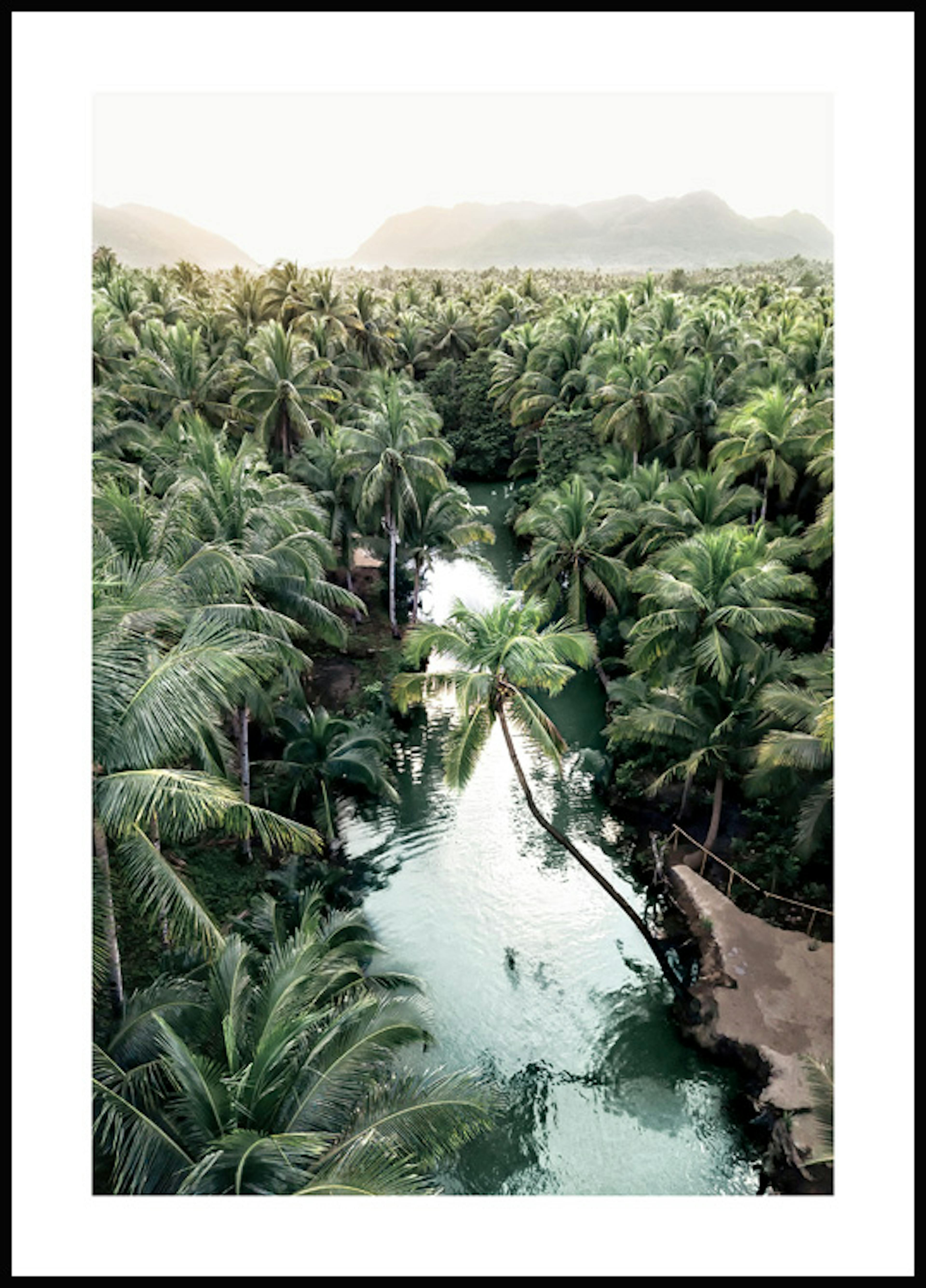 Palm Forest Poster 0