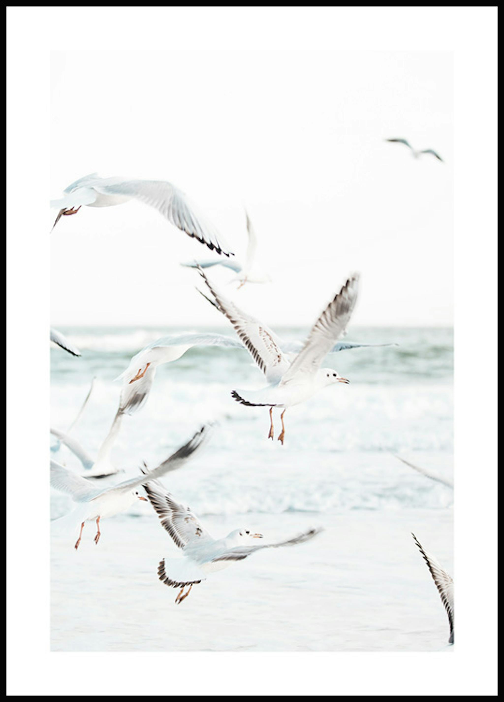 Køb plakater med rabat online på posterstore.dk