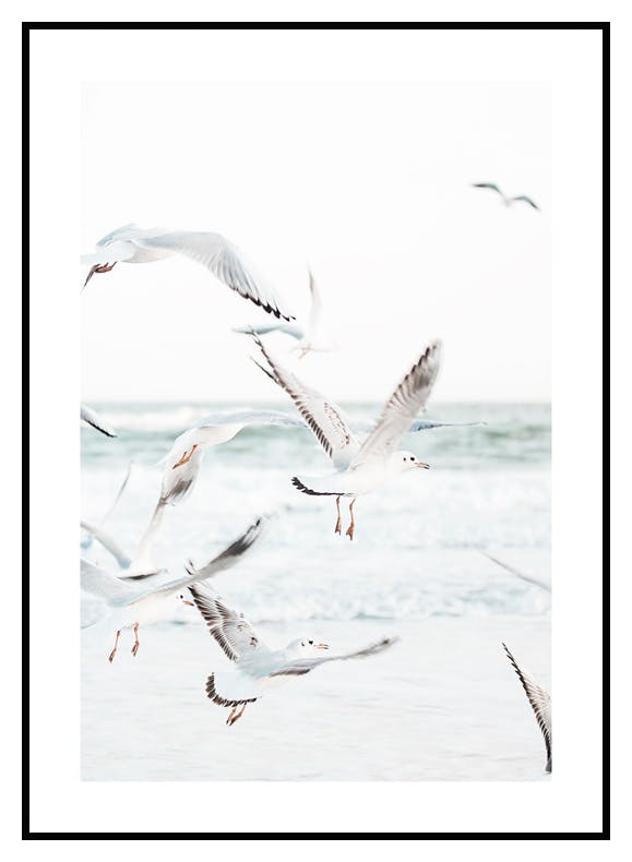 Flying Seagulls Poster (50x70 cm) - Poster Store