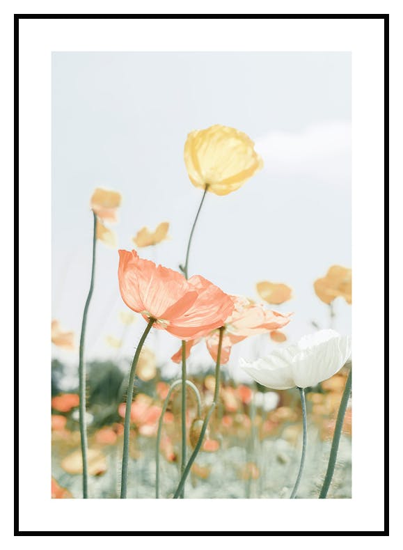 Prints Poppy Poster (30x40 cm) - Poster Store