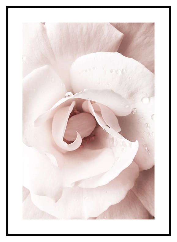 Plakat Baśniowa Róża (30x40 cm) - Poster Store