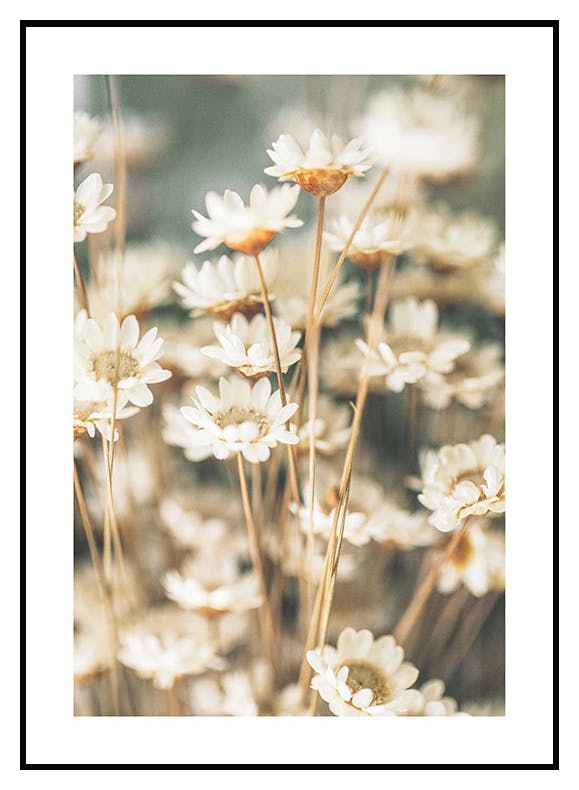 Plakat Letnie Kwiaty (21x30 cm) - Poster Store