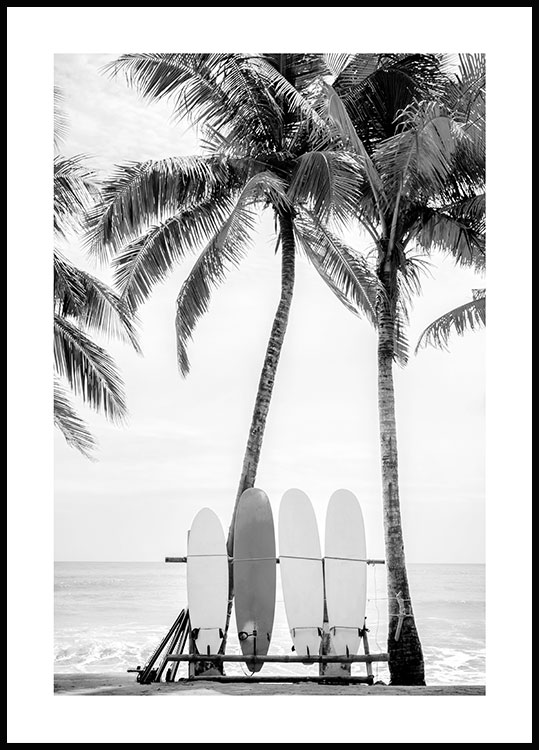 Tavole da surf Poster - Poster bianco e nero
