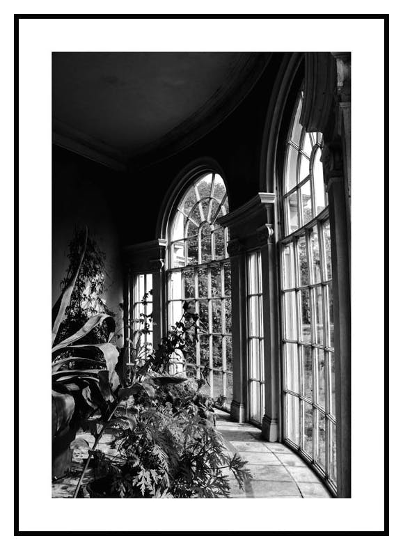 Greenhouse Windows Plakat (50x70 cm) - Poster Store