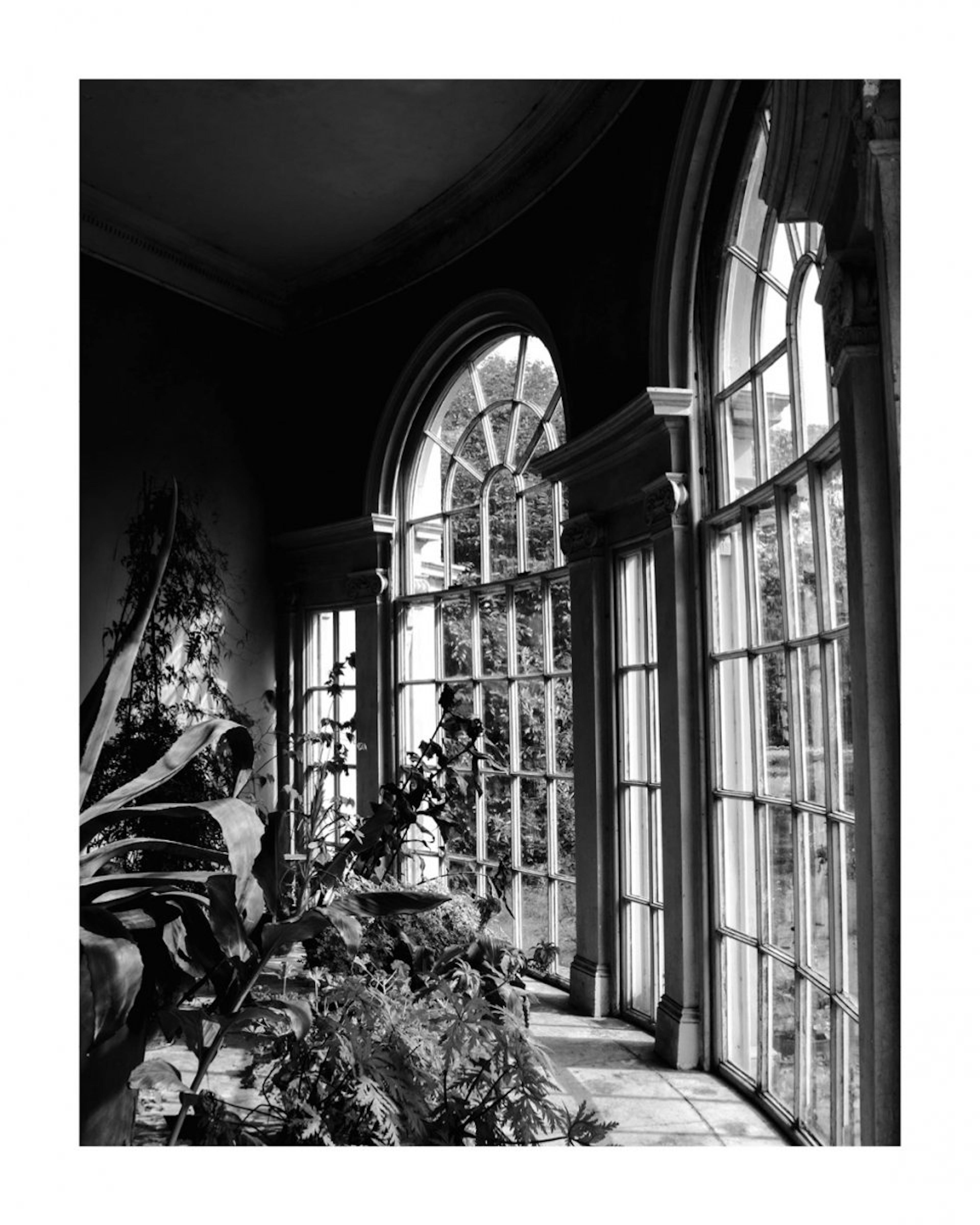 Greenhouse Windows Poster 0