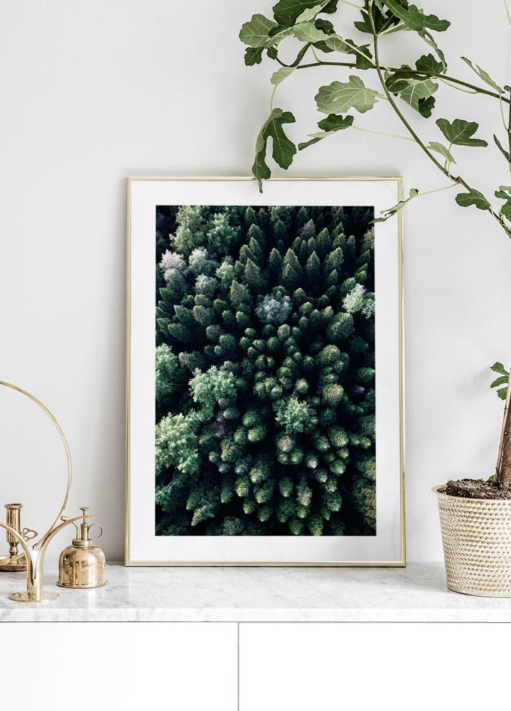 Forest From Above Poster (30x40 cm) - Poster Store