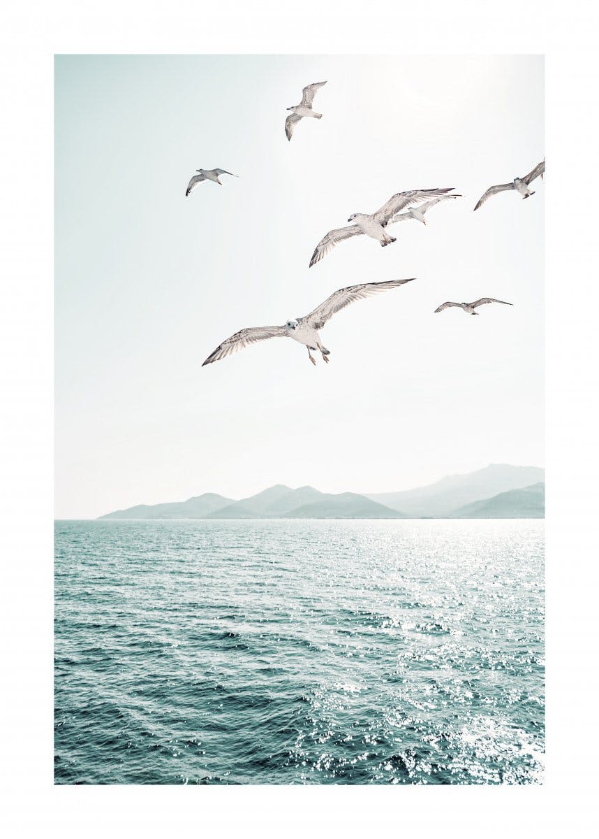 Seagulls over Ocean Poster 0