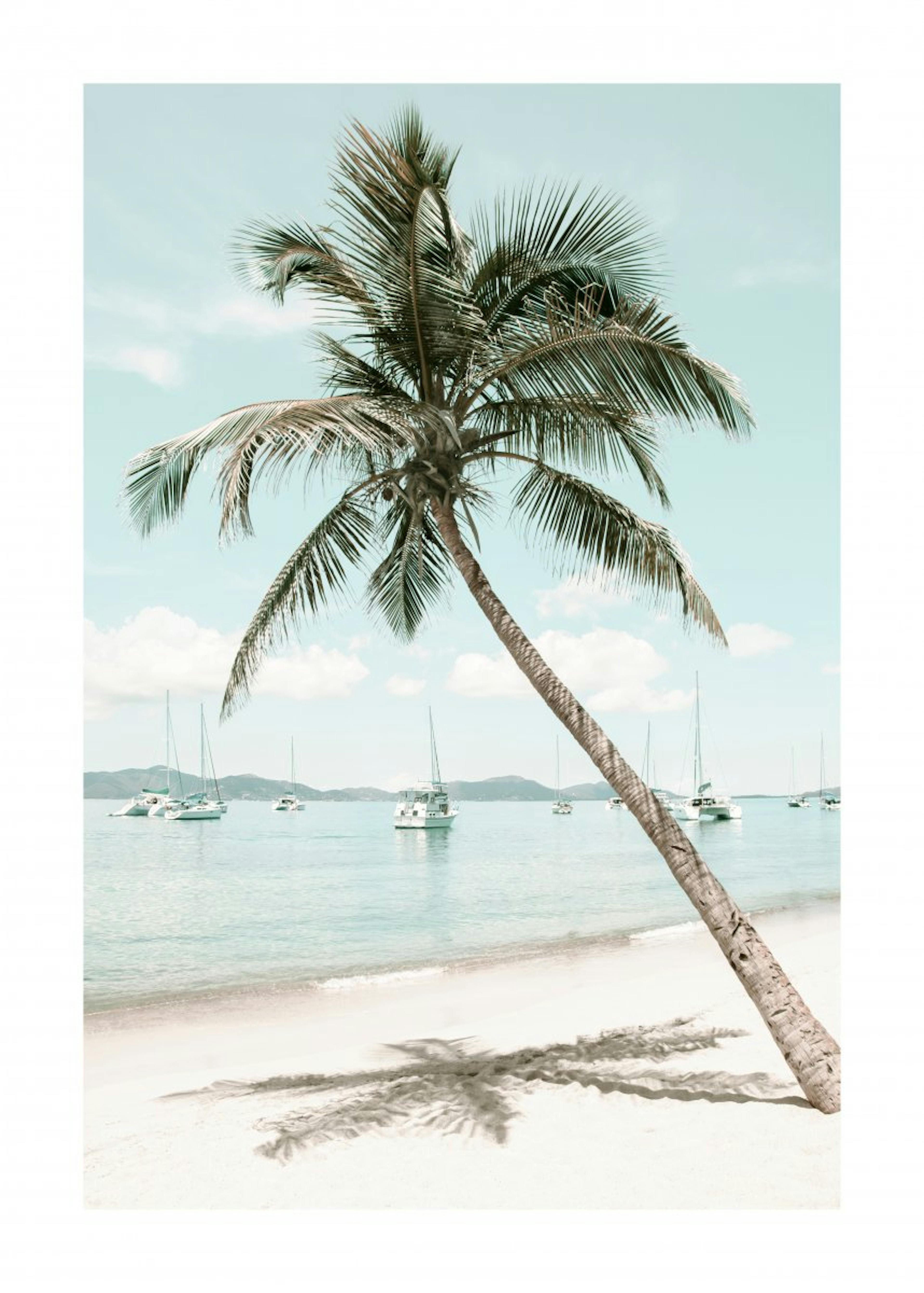 カリブ海のヤシの木 ポスター 0