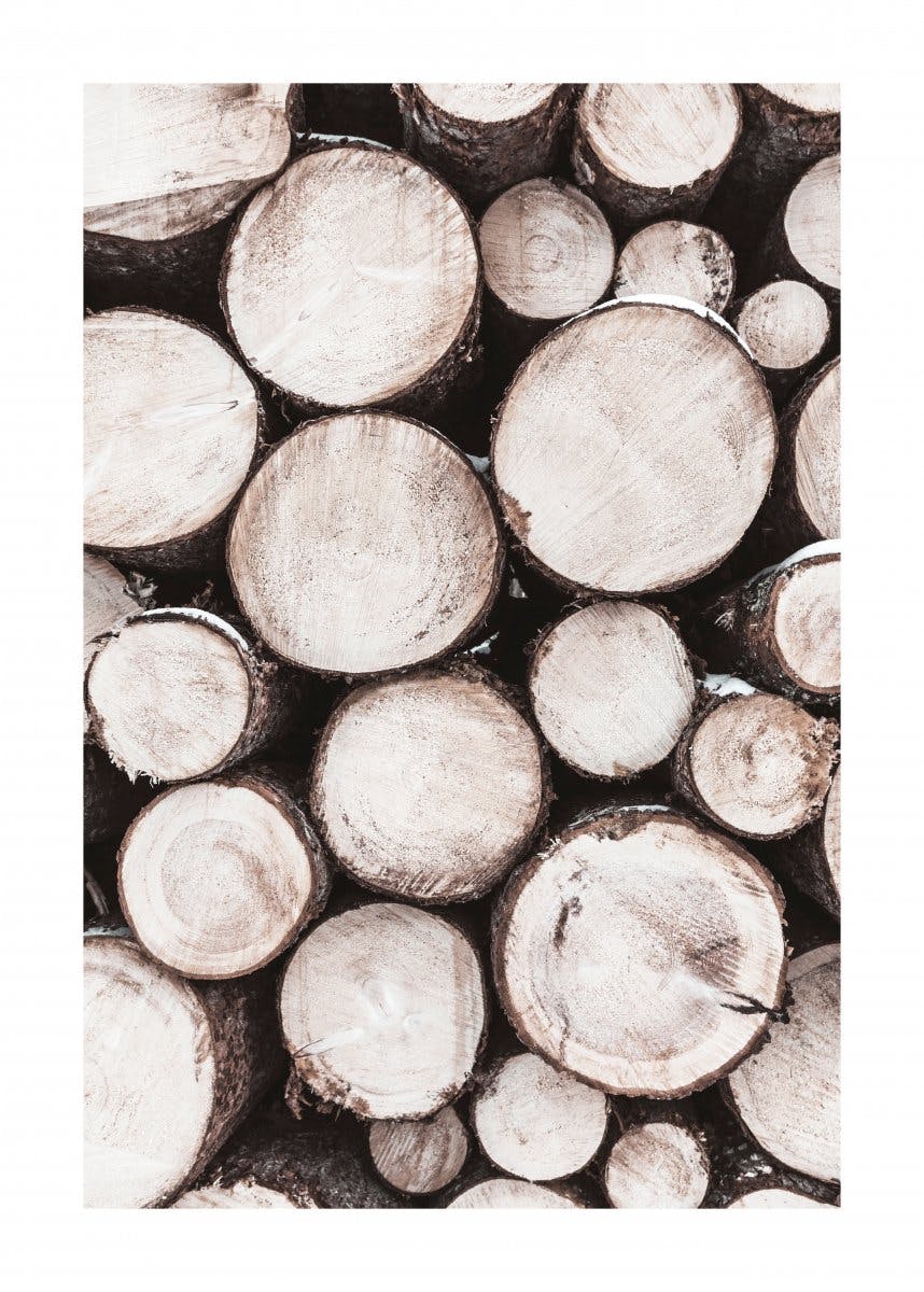 Pile of Wood Poster 0