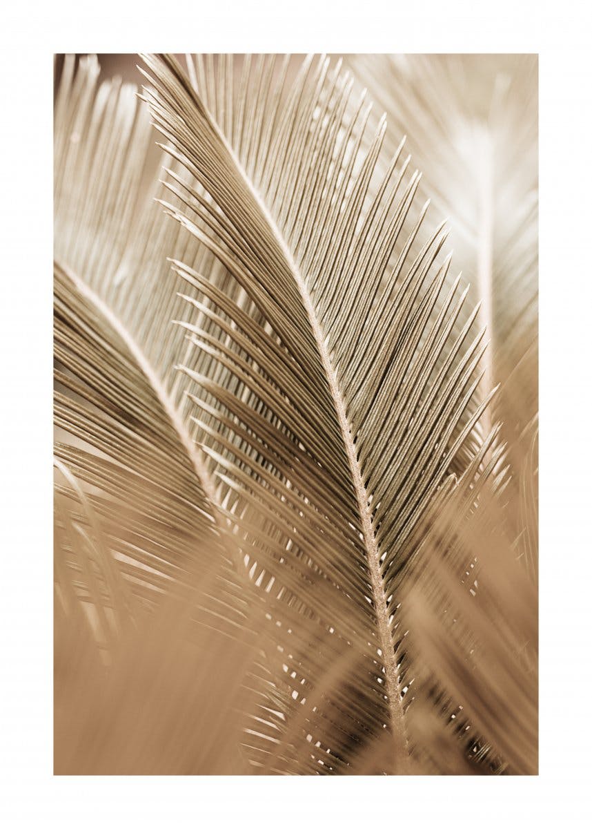 Palmblad i Guld Poster 0