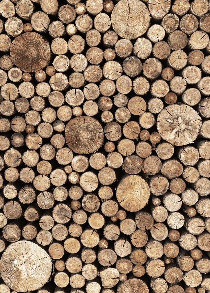 Wood Logs Poster 0