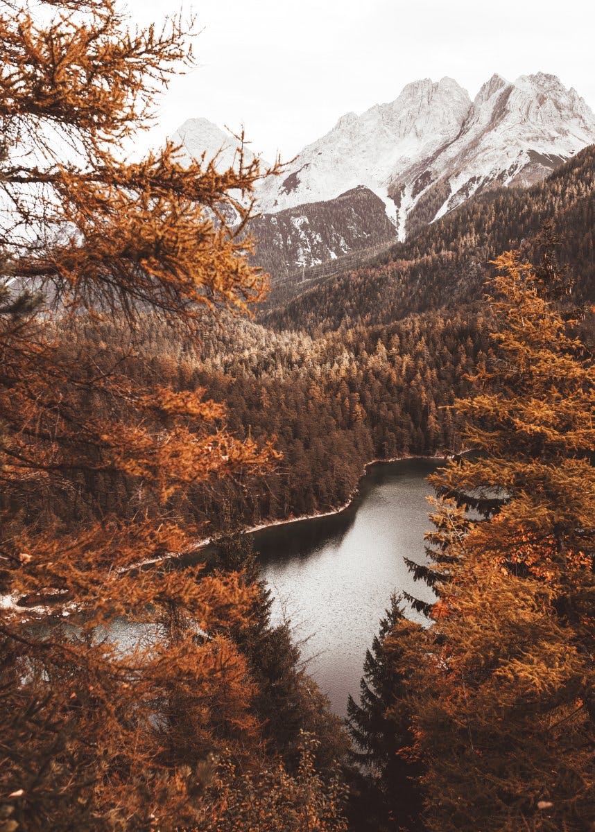 秋の木々と湖 ポスター 0
