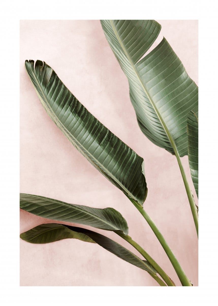 Green Plants Poster 0