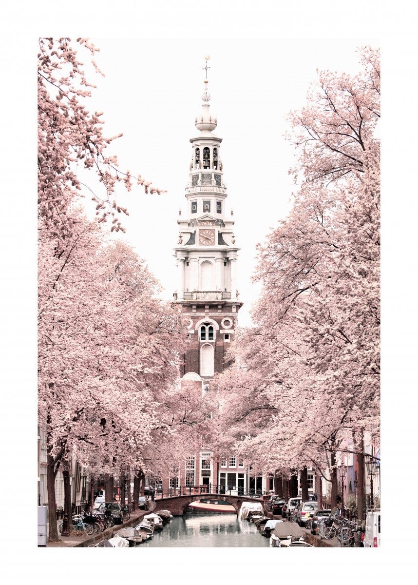 街に咲く桜 花ポスター 0