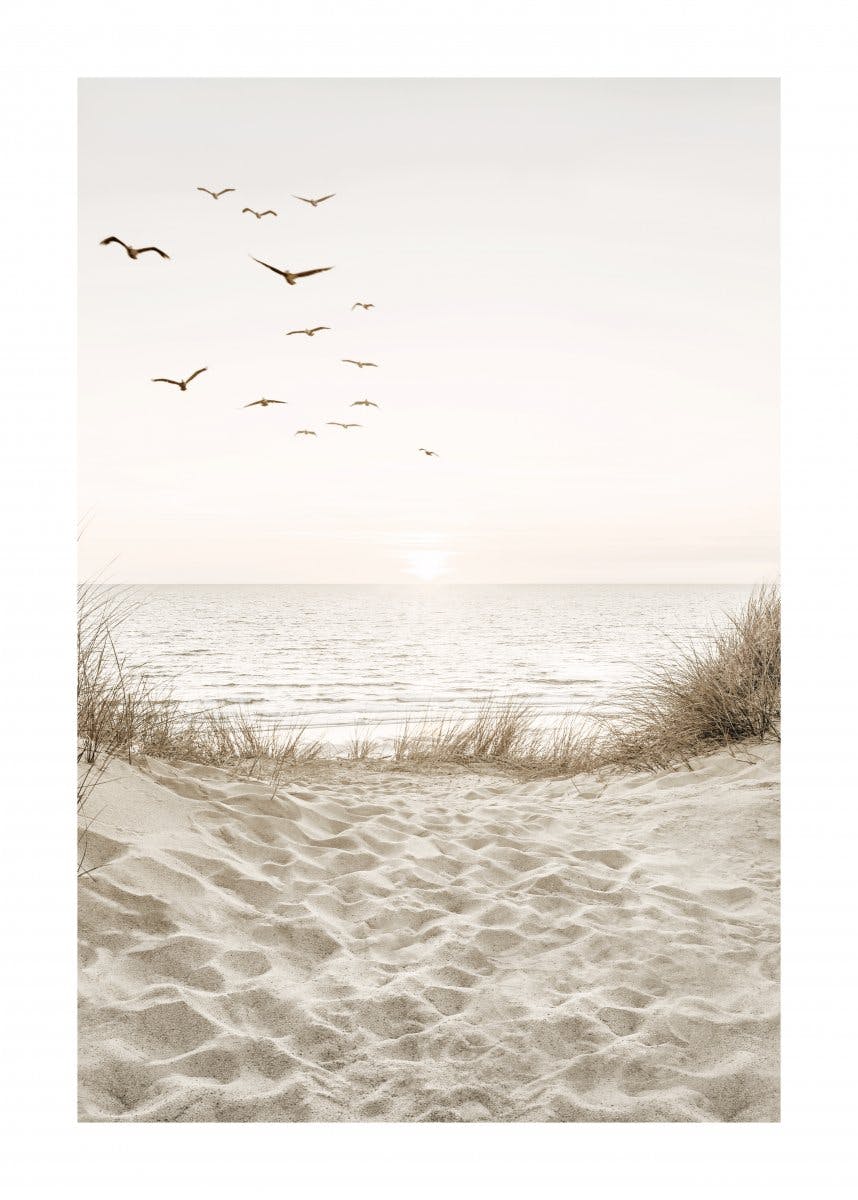 لوحة الطيور بجانب الشاطئ 0