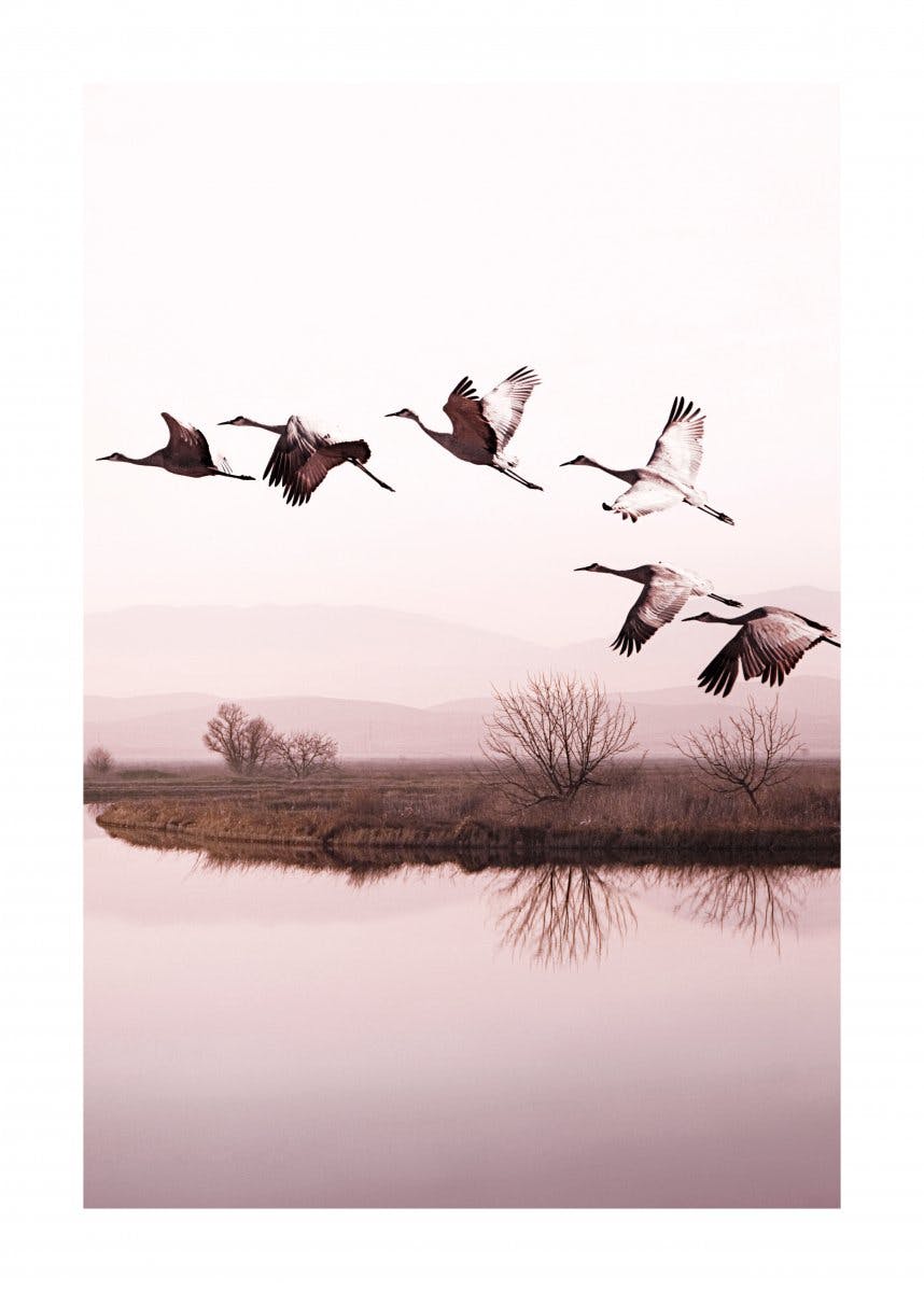 Cranes over Lake Poster 0