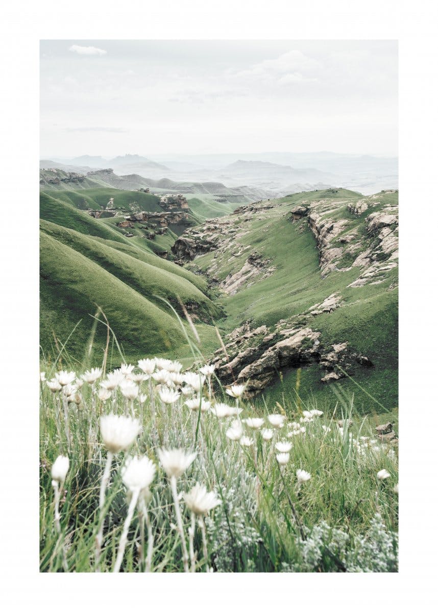 Vallée de Montagne en fleurs Poster 0