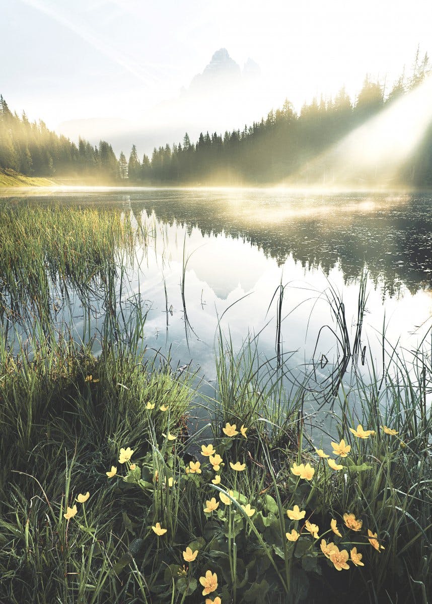 Peaceful Mountain Lake Poster 0